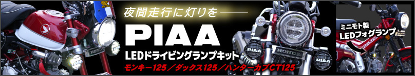 �ߥ˥�� PIAA���ե������� ������Ԥ�