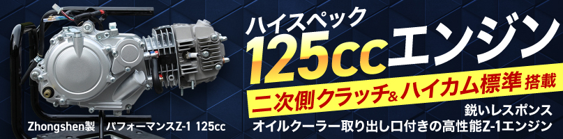 �ѥե����ޥ�Z-1��125cc���󥸥�